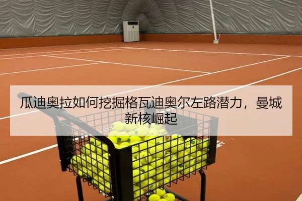gua-di-ao-la-ru-he-wa-jue-ge-wa-di-ao-er-zuo-lu-qian-li-man-cheng-xin-he-jue-qi-3-767.jpg
