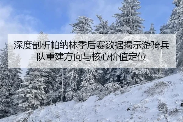 shen-du-pou-xi-pa-na-lin-ji-hou-sai-shu-ju-jie-shi-you-qi-bing-dui-chong-jian-fang-xiang-yu-he-xin-jia-zhi-ding-wei-3-655.jpg