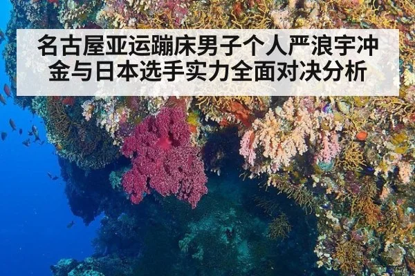 名古屋亚运蹦床男子个人严浪宇冲金与日本选手实力全面对决分析